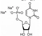 Uridin-5'-Monophosphat-Dinatriumsalz